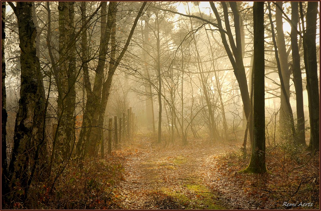 фото "***" метки: пейзаж, природа, fog, рассвет