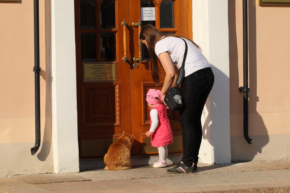 фото "Рыжий кот ." метки: город, 