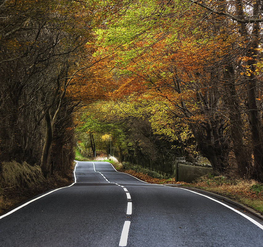 photo "Autumn road" tags: landscape, 