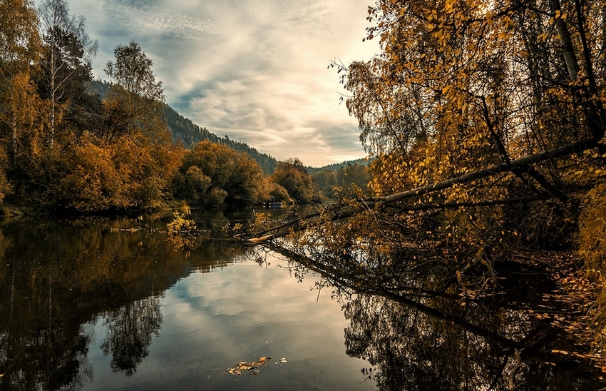 photo "***" tags: landscape, travel, nature, autumn, clouds, forest, water, Нижний Тагил