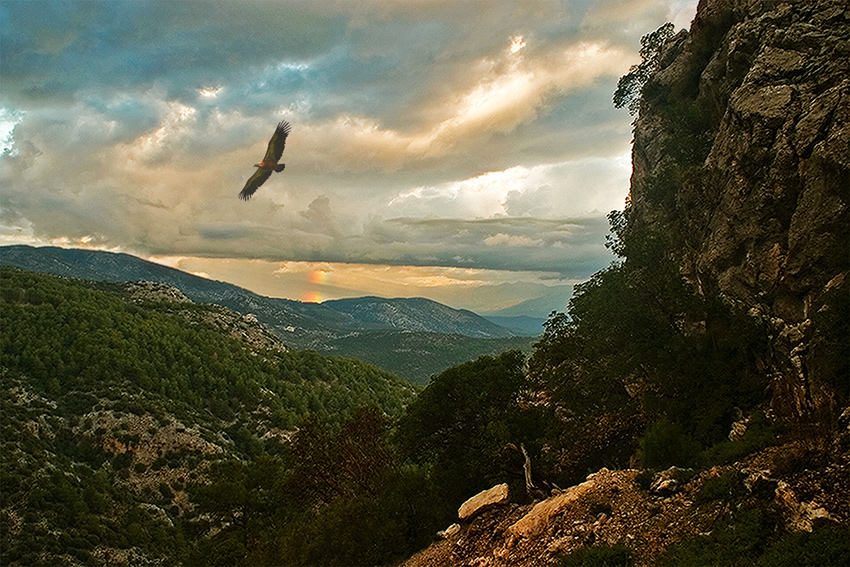 фото "Мы вольные птицы..." метки: пейзаж, горы, закат, орел, радуга, тучи