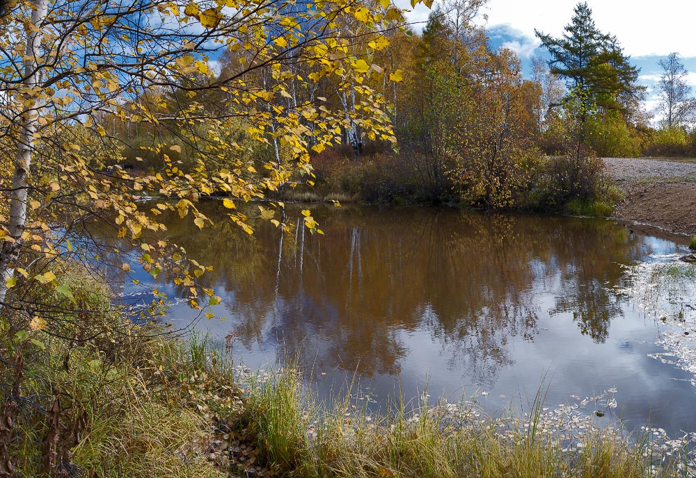 photo "***" tags: landscape, autumn, forest, lake, water