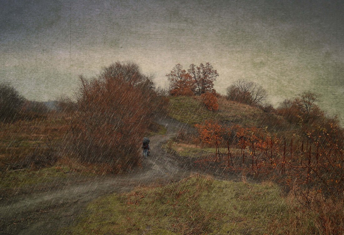 photo "***" tags: landscape, 