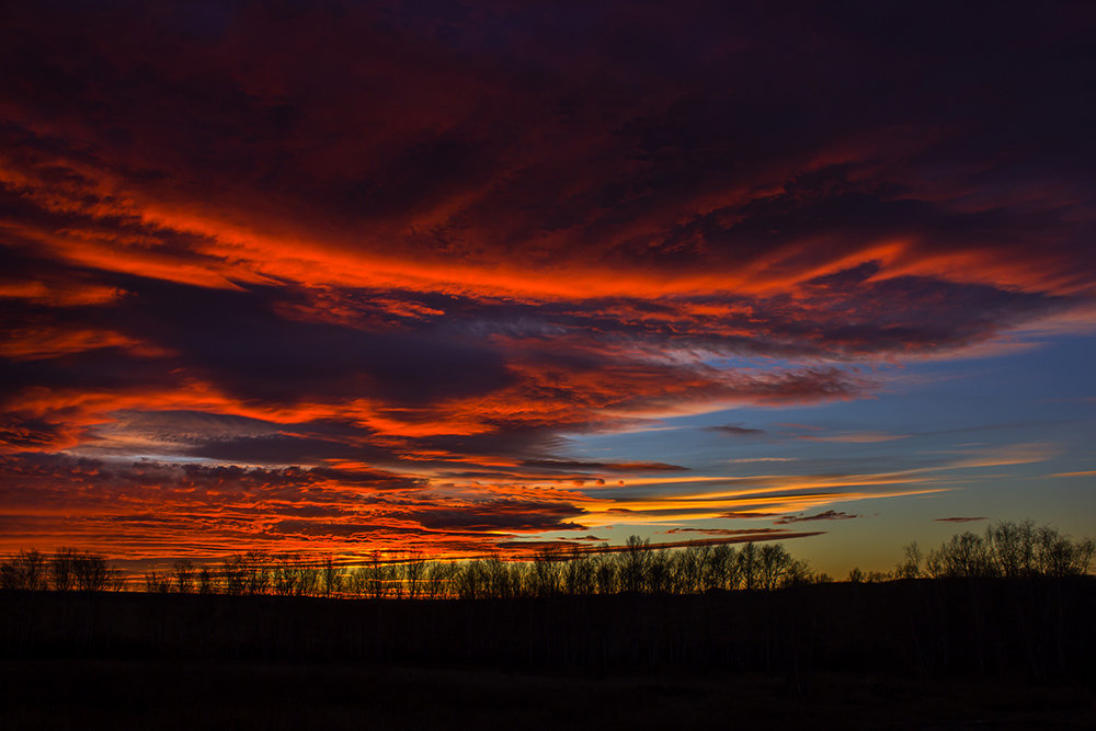 photo "***" tags: landscape, nature, clouds, sunset, графика деревьев, закатное неюо, пейзаж, свет Солнца