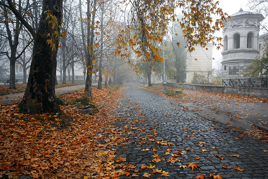 фото "башня ветров. Севастополь" метки: пейзаж, Севастополь, осень, туман, утро