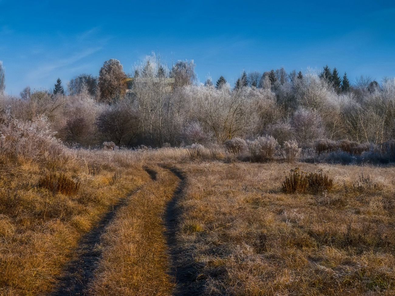 photo "The road to the house on the hill ..." tags: landscape, autumn, meadow, morning