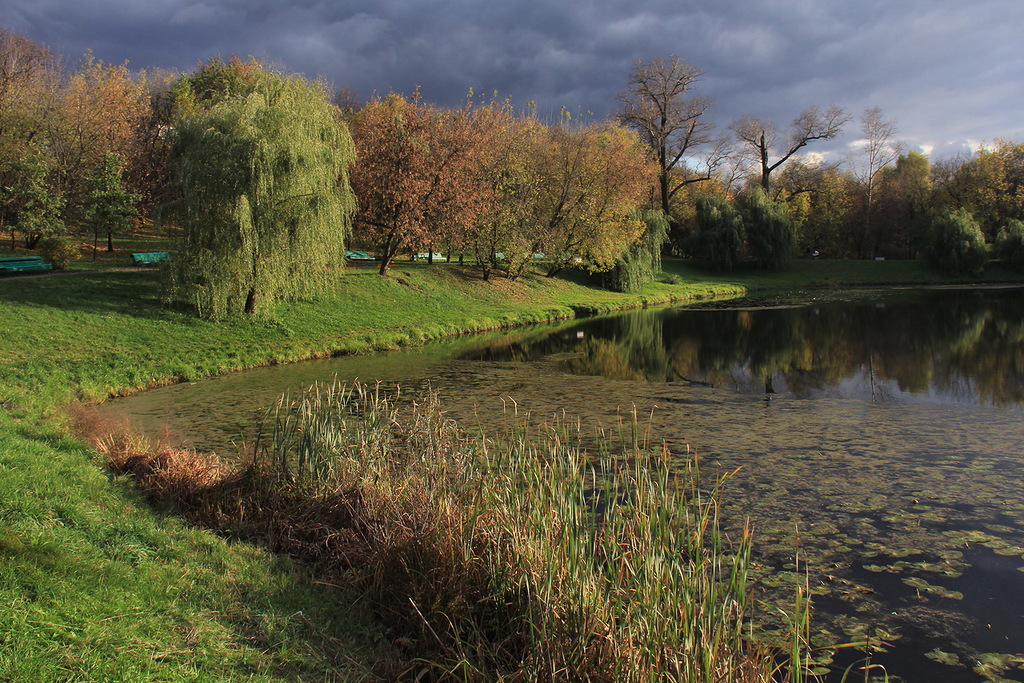 photo "Impending storm" tags: landscape, nature, autumn, sky, sun, water, зелень, тучи