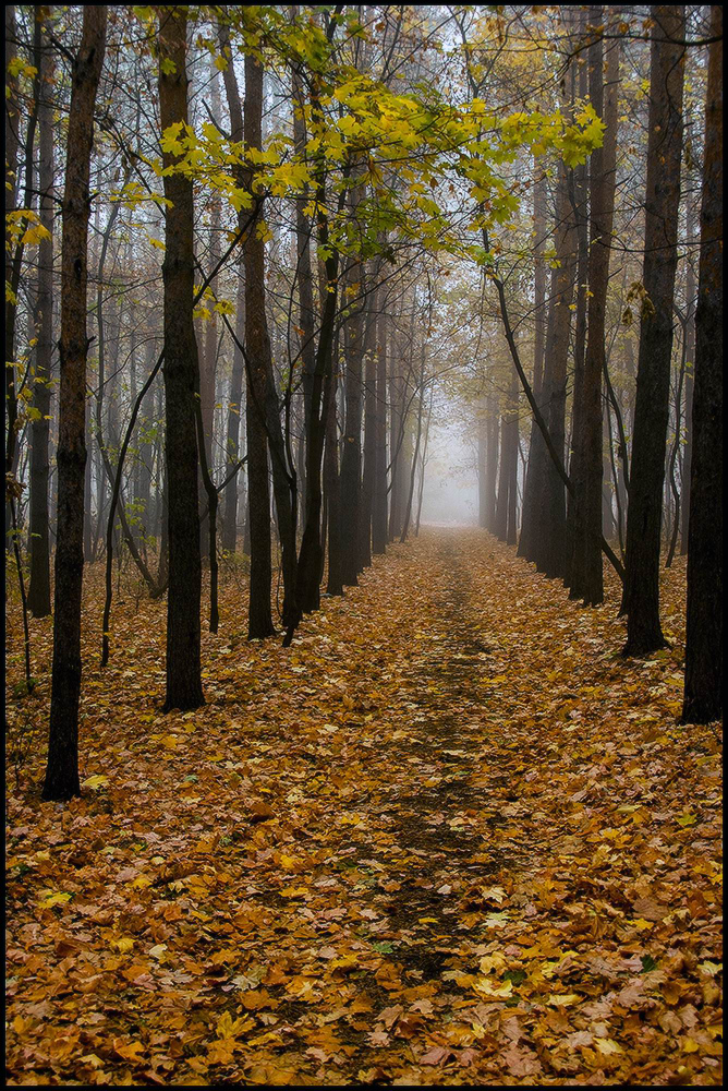 фото "Осень..." метки: пейзаж, 