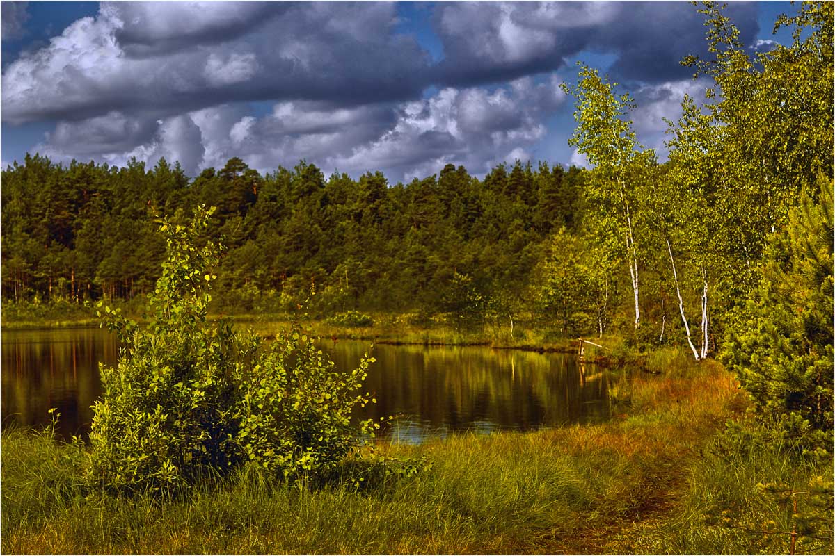 photo "***" tags: landscape, пейзаж