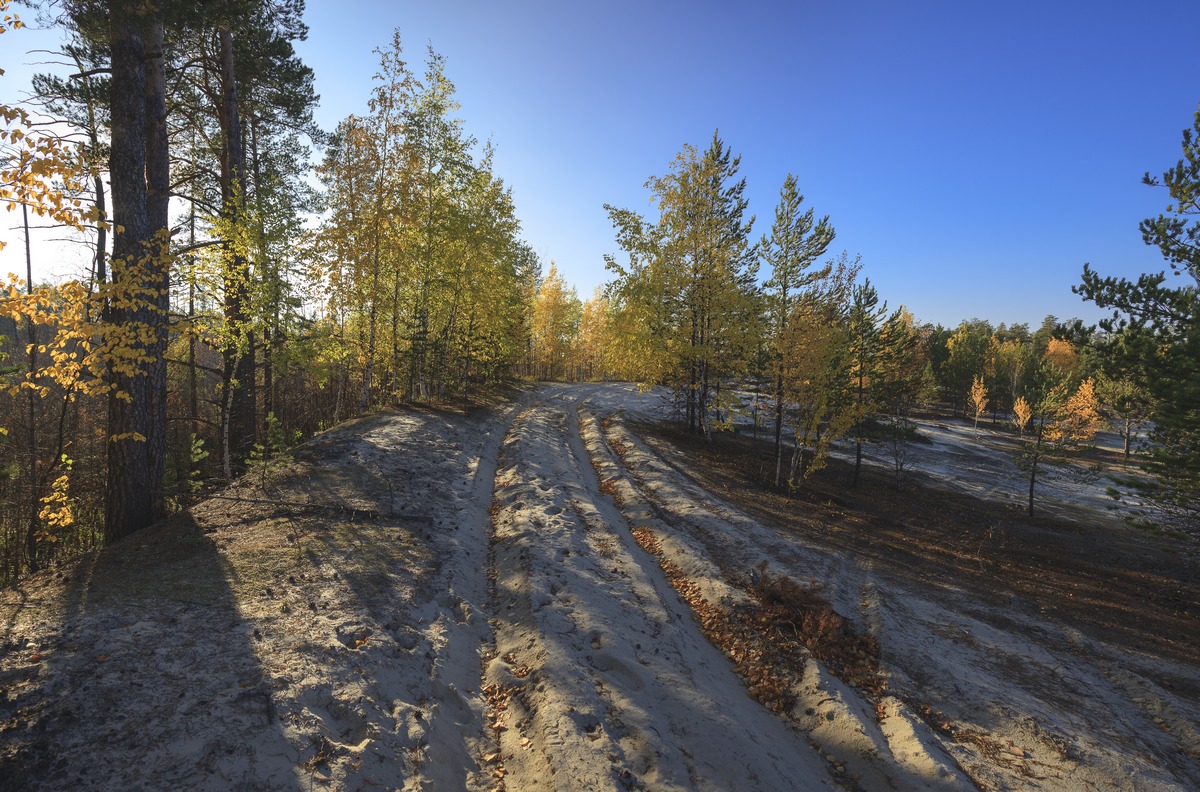 photo "***" tags: landscape, nature, autumn, road, sun, день