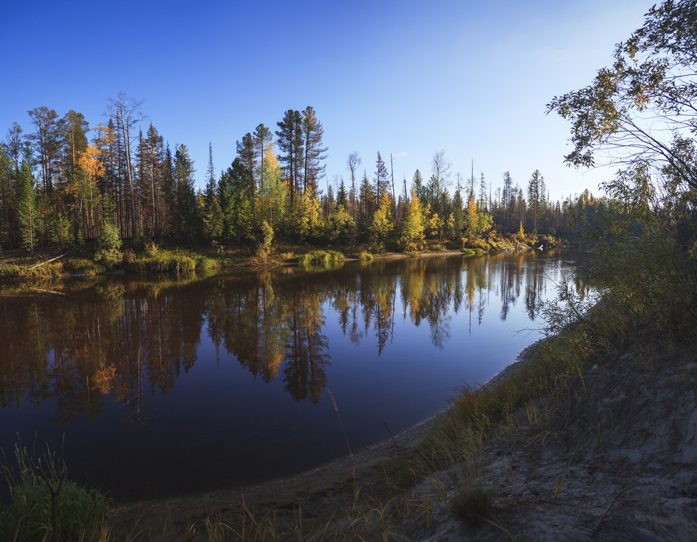 photo "***" tags: landscape, nature, autumn, river, день