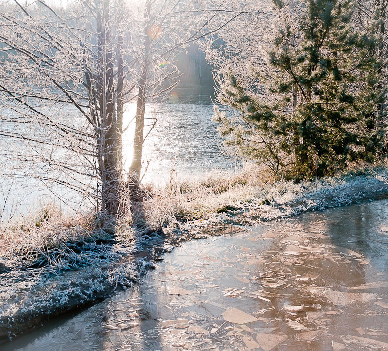 photo "***" tags: nature, sun, winter, мороз