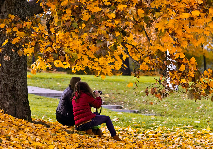 photo "etude in autumn colors" tags: genre, street, autumn