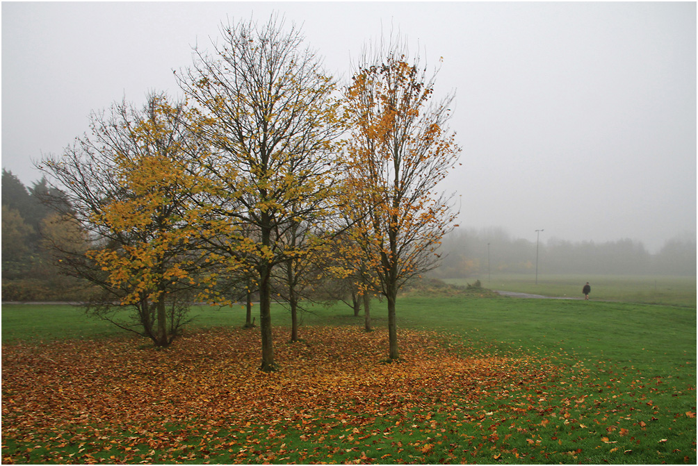 photo "***" tags: nature, autumn