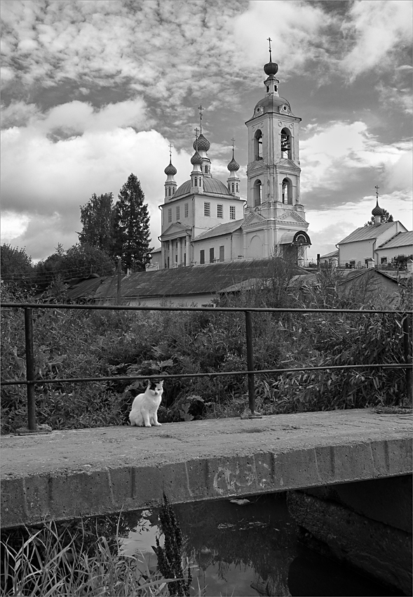 фото "***" метки: черно-белые, 