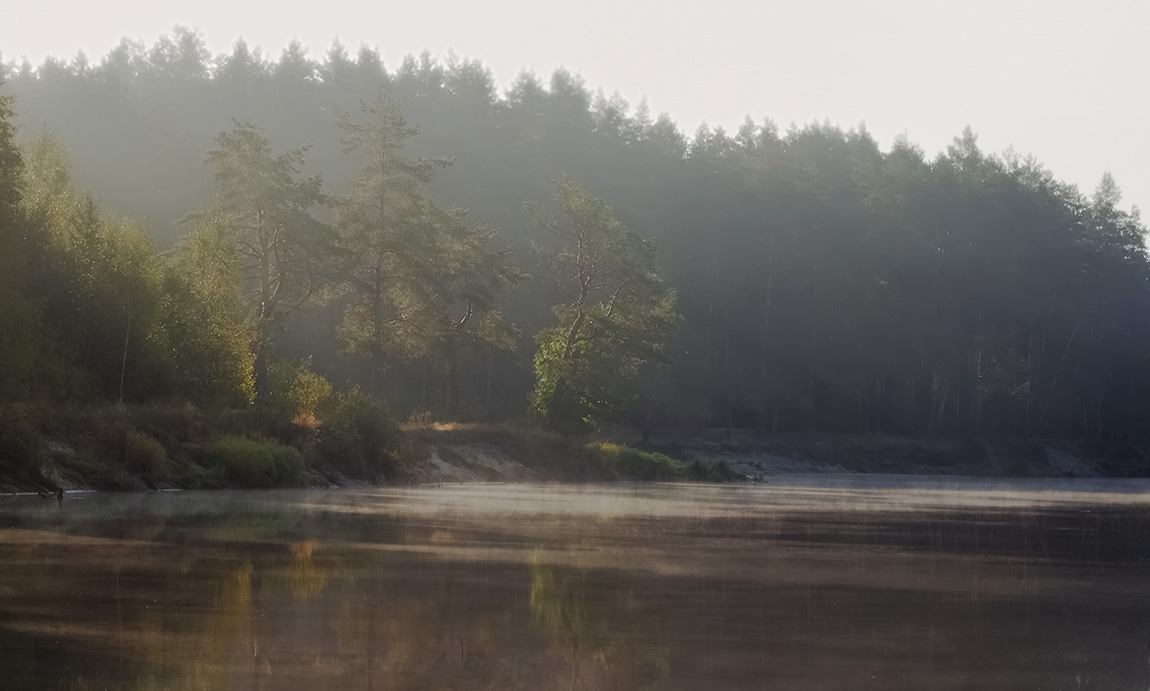 photo "***" tags: landscape, nature, fog, morning, sun, р. Пра