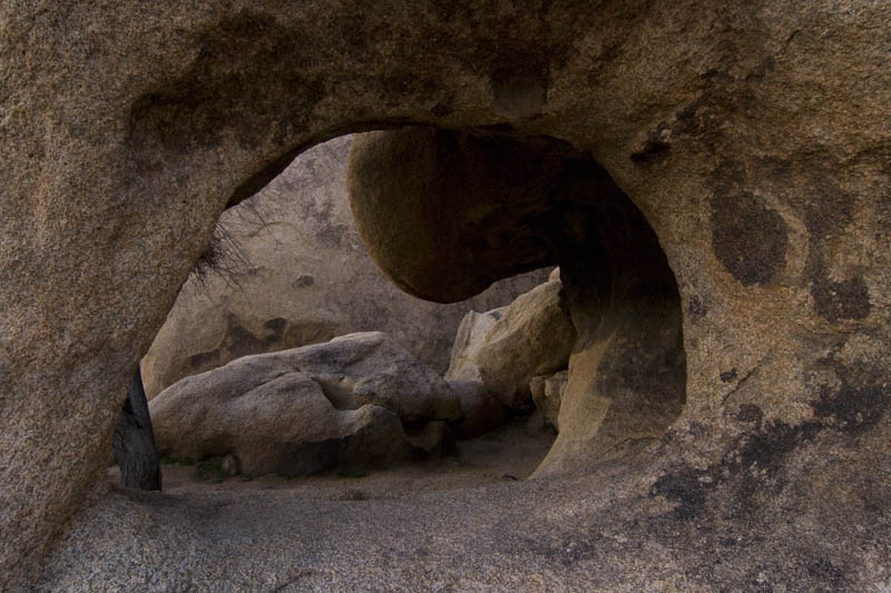 photo "***" tags: , Joshua Tree, arch, desert