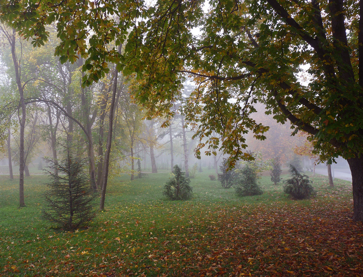 фото "***" метки: пейзаж, 