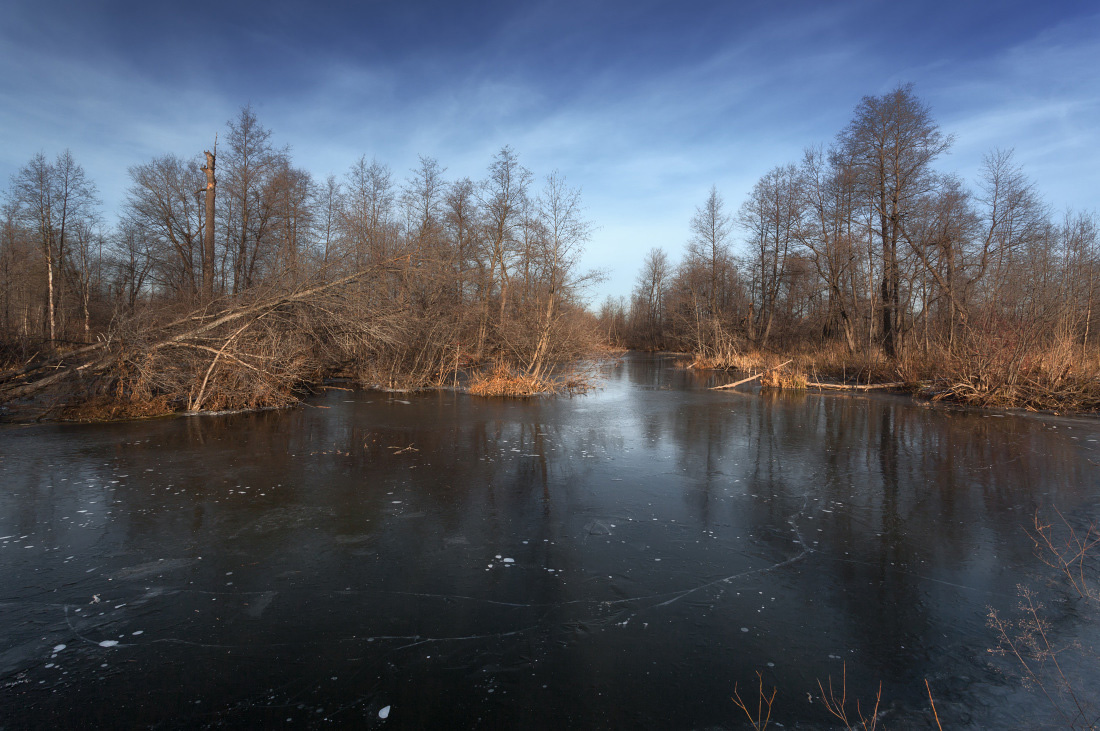 фото "Замороженные отражения" метки: пейзаж, природа, Речка, деревья, лед, лес, ноябрь, облака, отражения