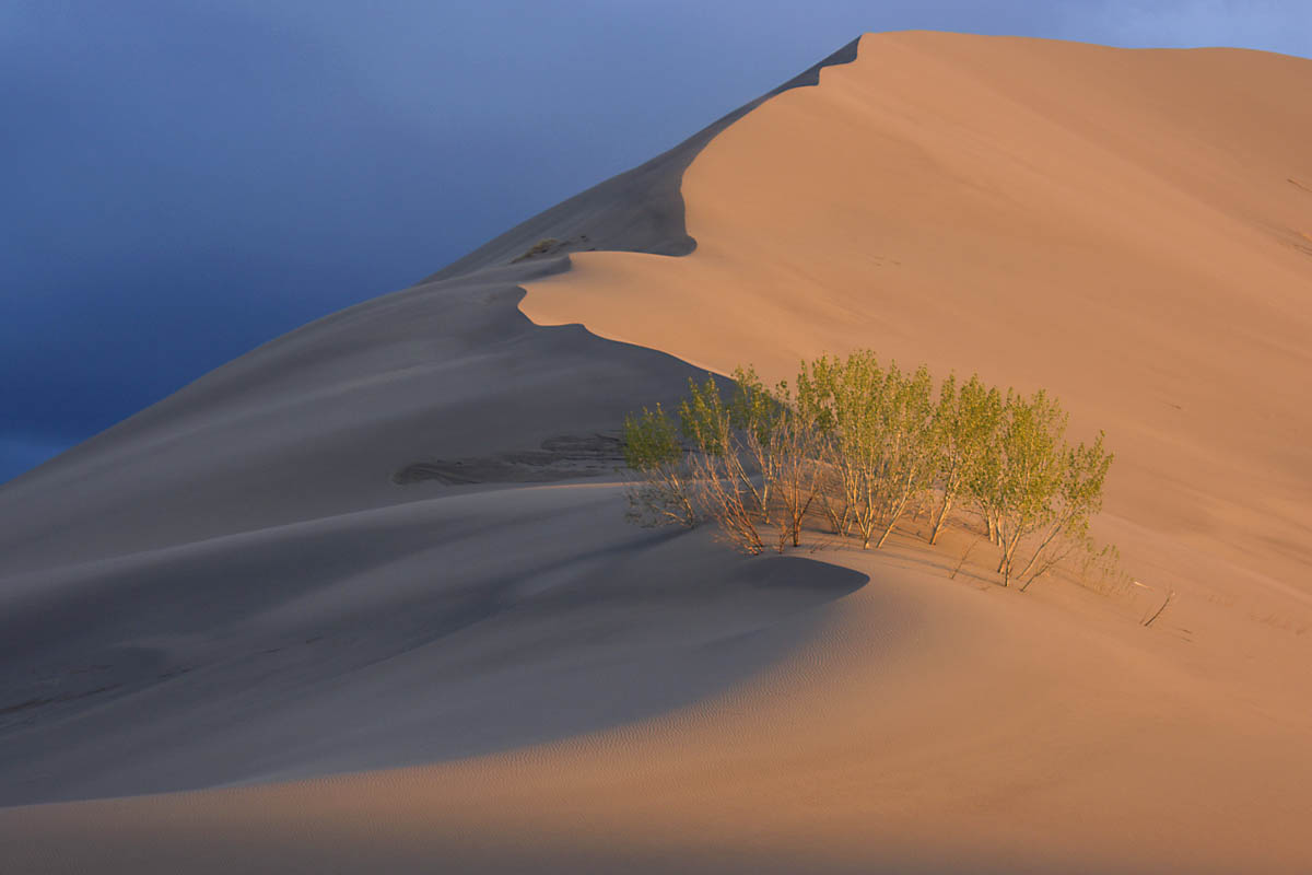 фото "Brunneau Dunes 1" метки: пейзаж, путешествия, природа, Brunneau, Idaho, Sand, dune
