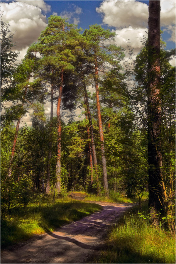 photo "***" tags: landscape, 
