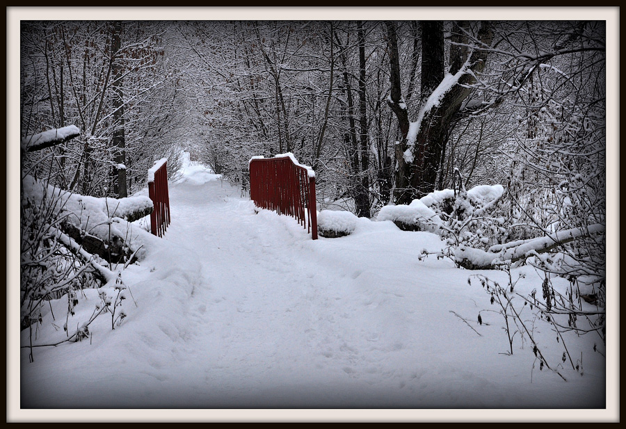 photo "***" tags: nature, 