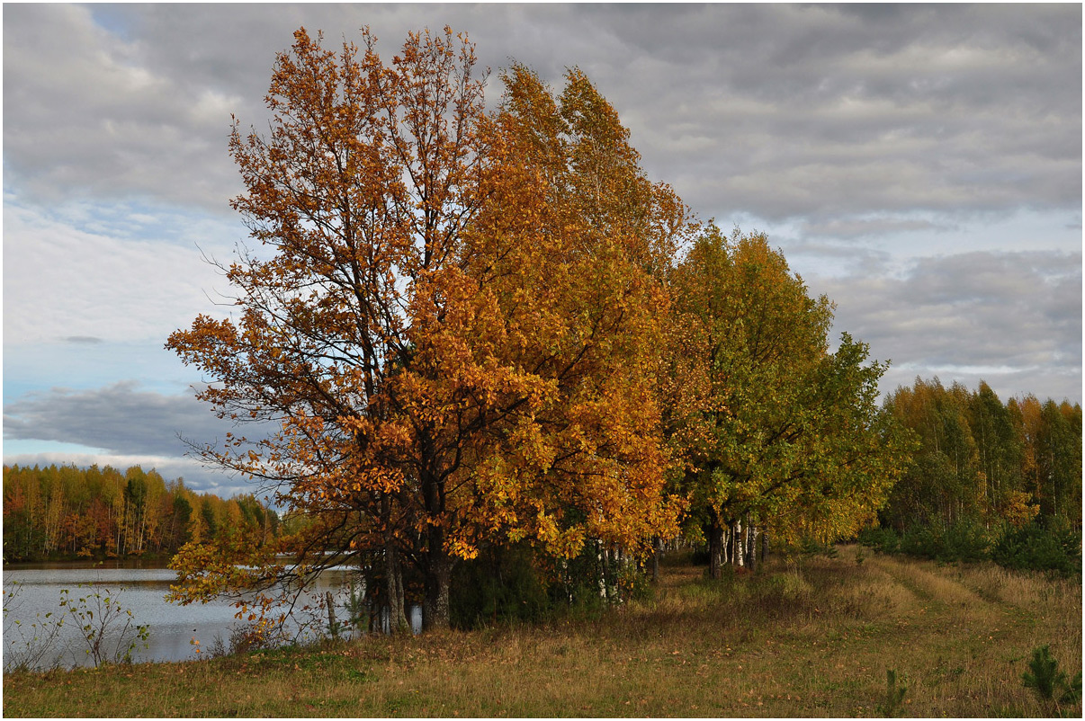 photo "***" tags: landscape, autumn, birches, river