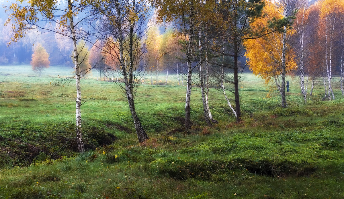 фото "***" метки: , 