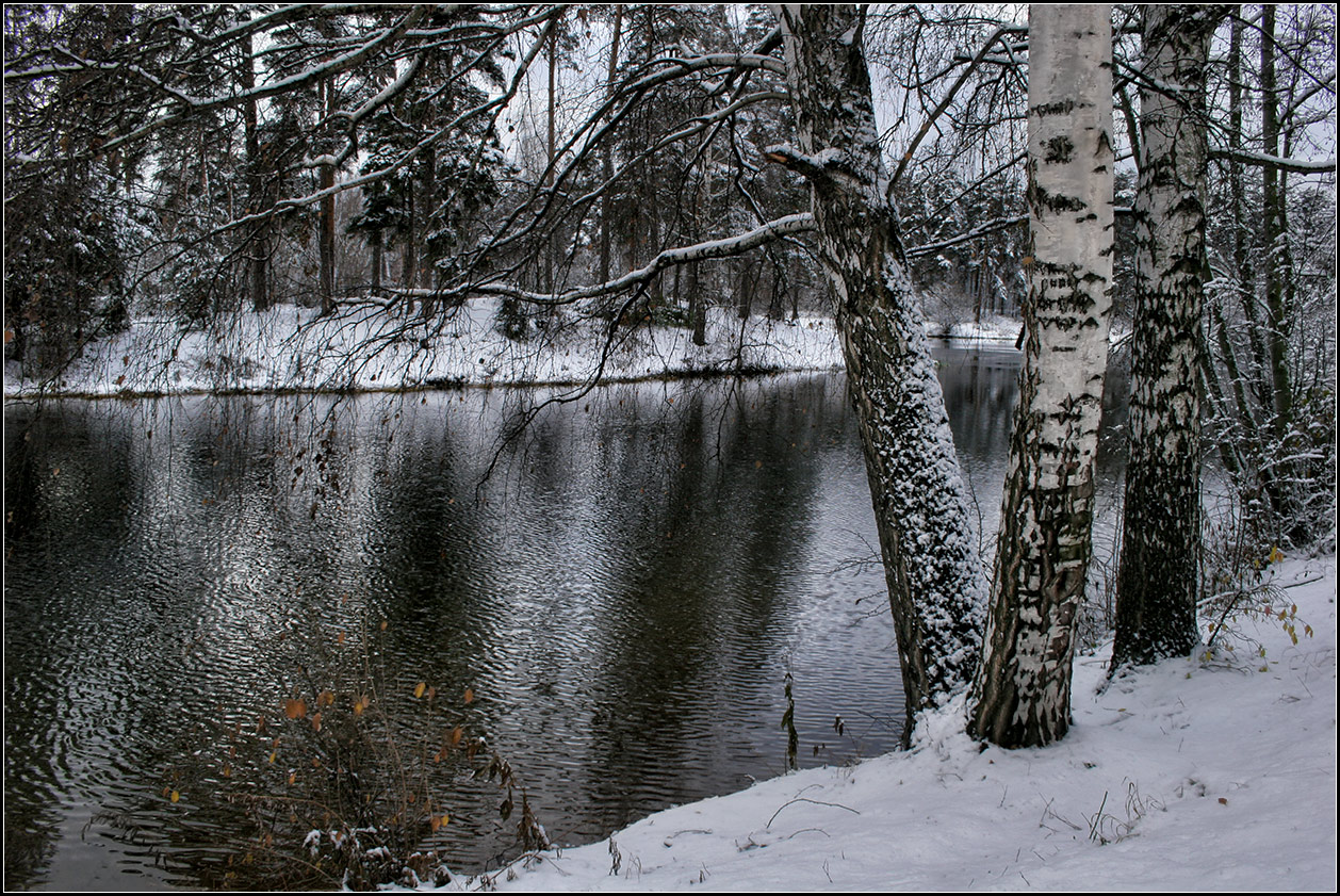 фото "предзимье" метки: пейзаж, природа, 