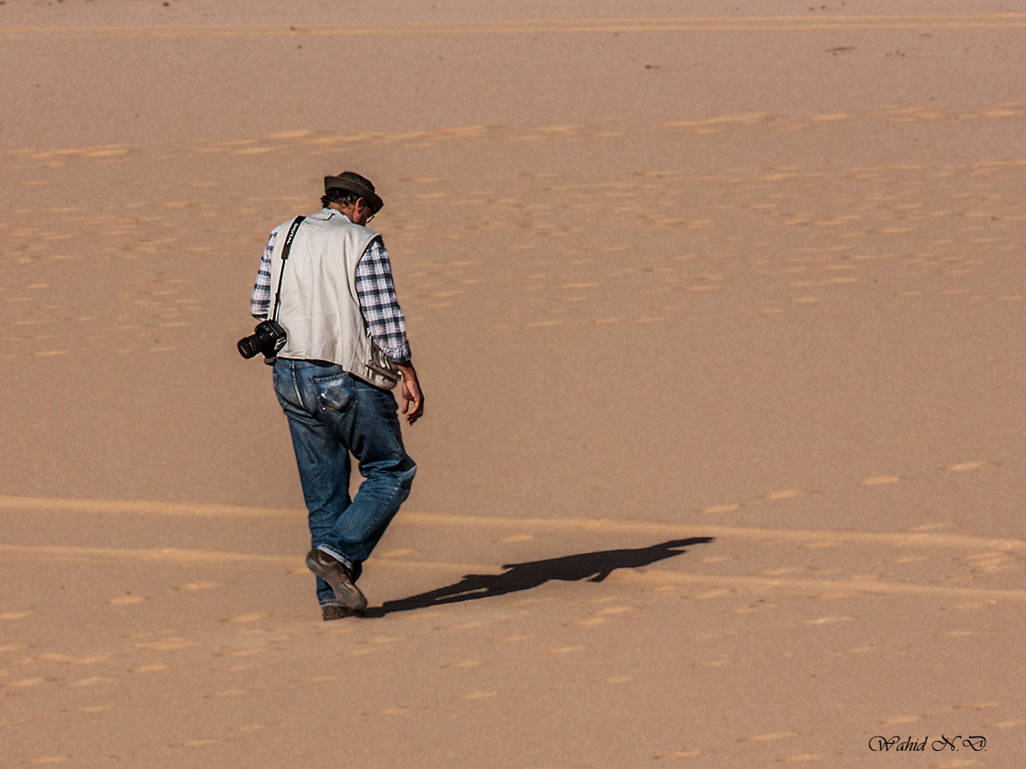 photo "Follow the shadow" tags: landscape, portrait, travel, Africa, Sand, desert