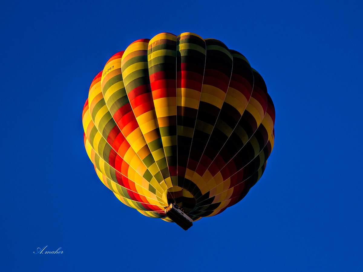 фото "..." метки: спорт, 