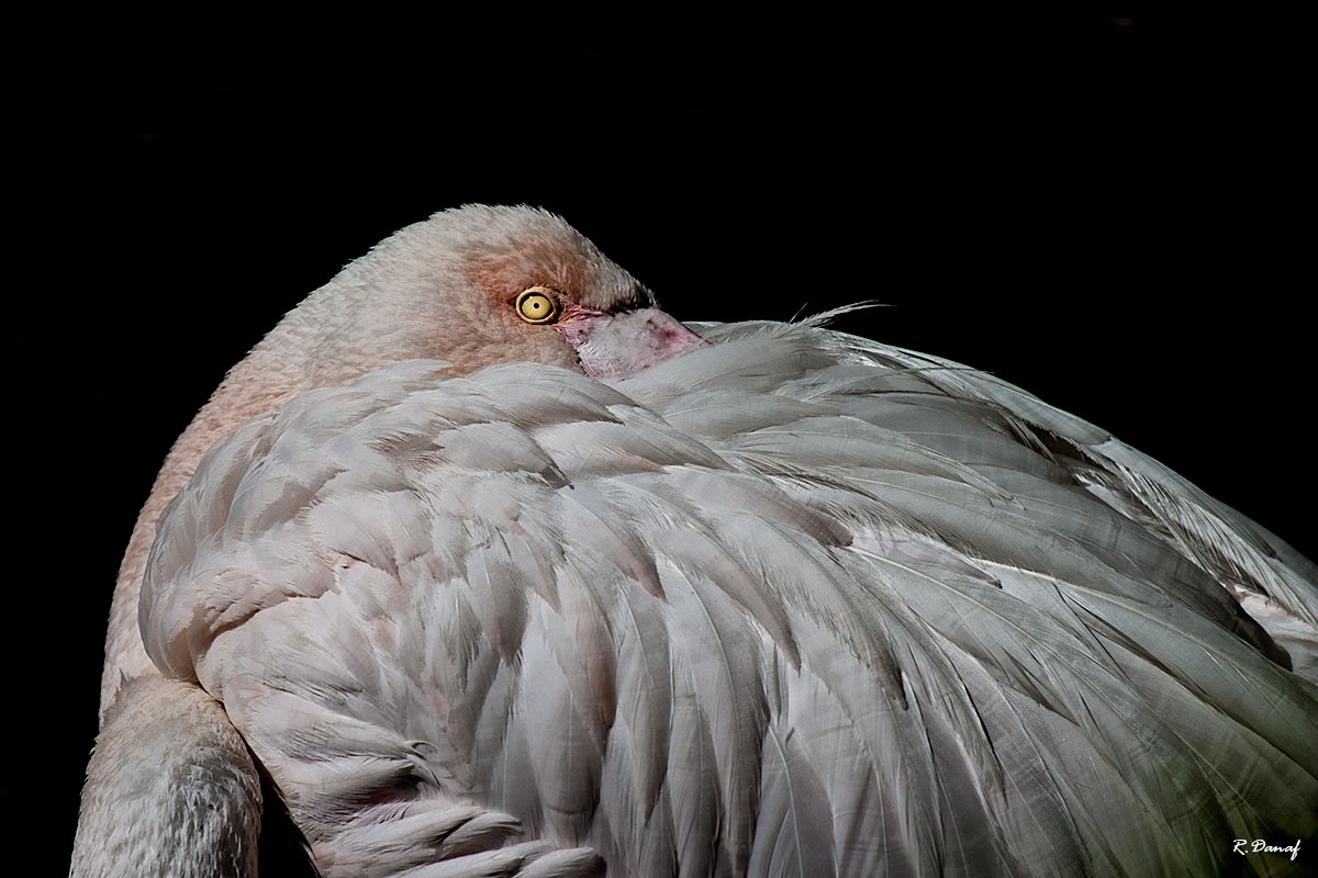 photo "Working under cover" tags: nature, macro and close-up, 