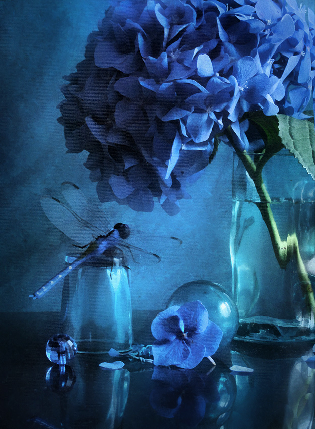 photo "***" tags: still life, 