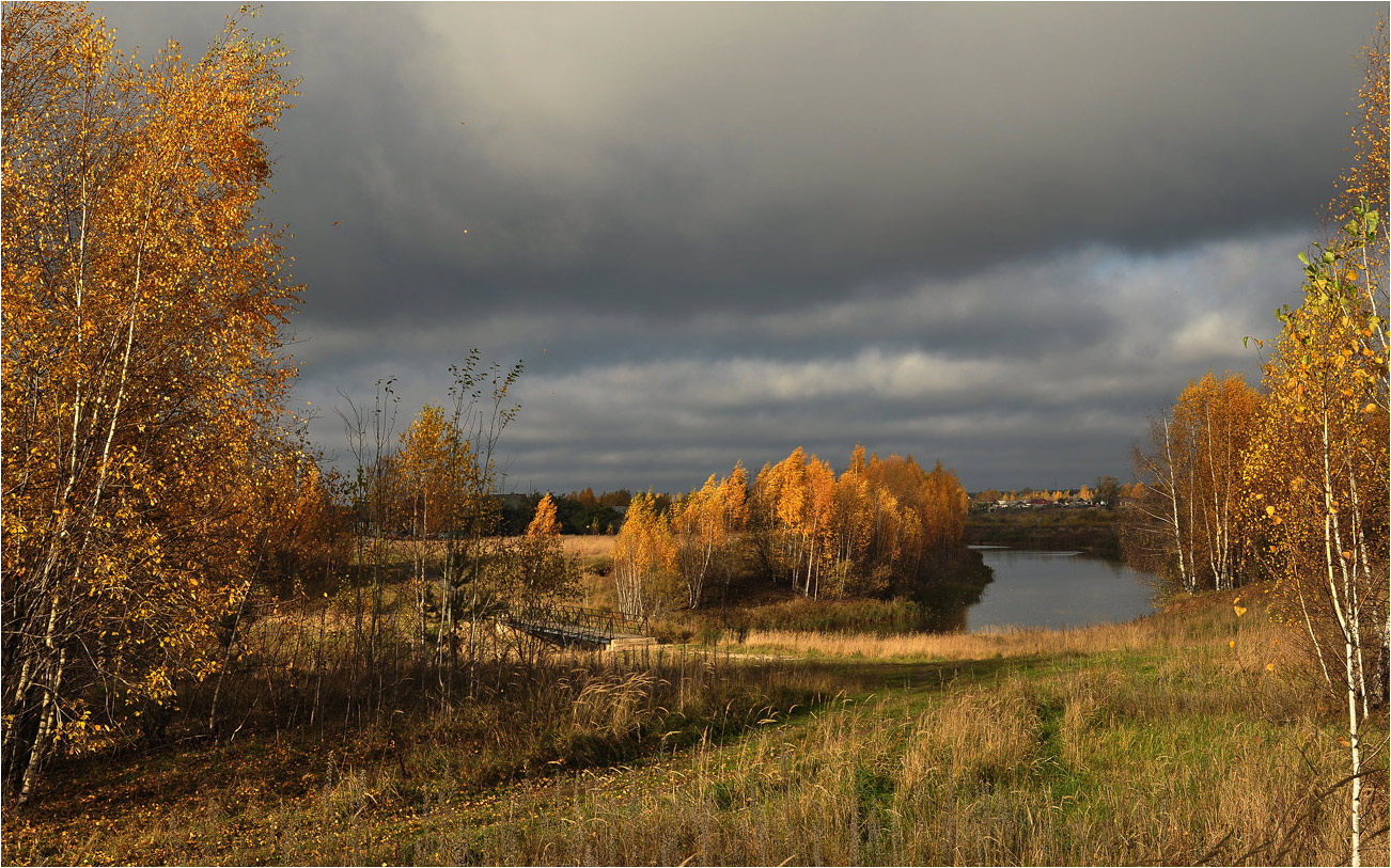 фото "Осенняя грусть" метки: пейзаж, березы, осень, река, трава