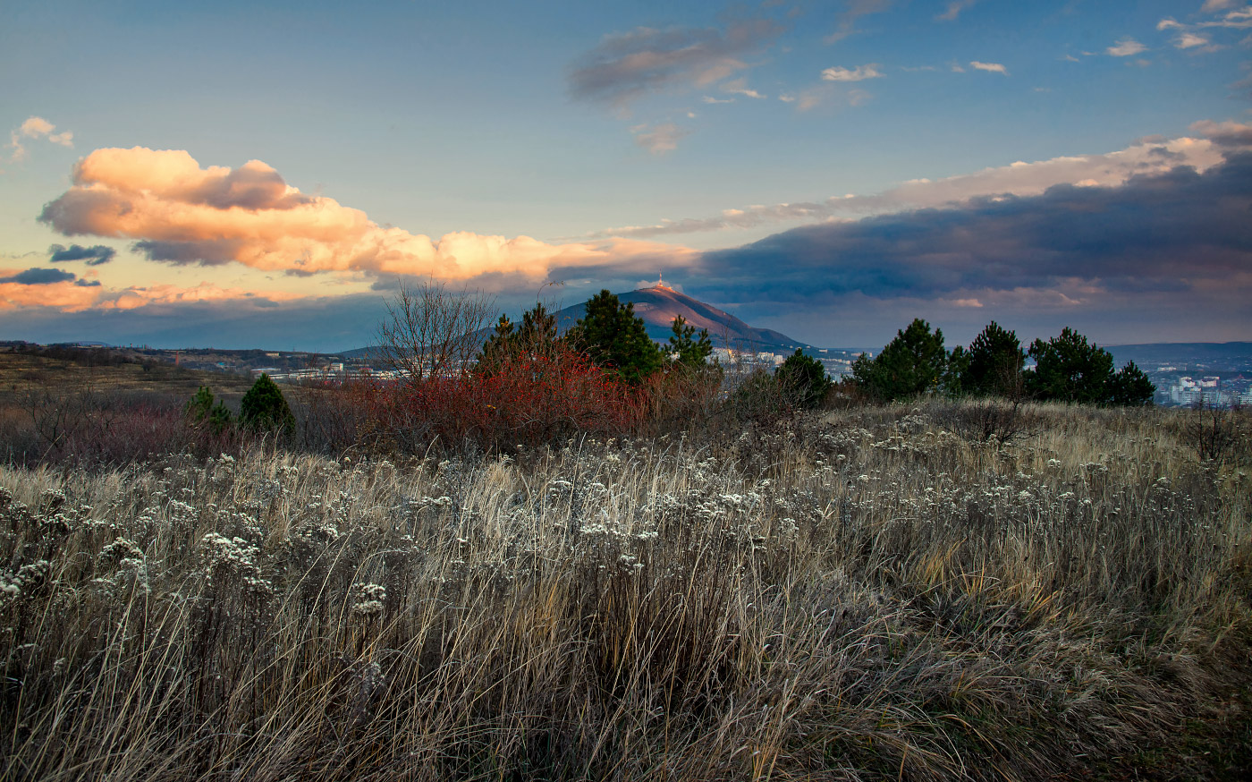 photo "On the edge of winter" tags: , 