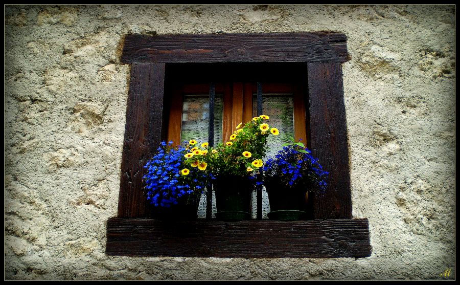 photo "Poetry flowers in window" tags: still life, 