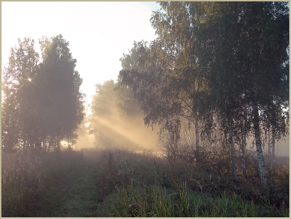 photo "***" tags: landscape, morning, summer