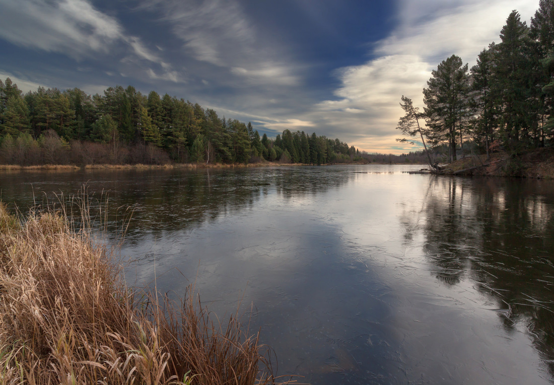 photo "***" tags: landscape, clouds, forest, grass, lake, reflections, деревья, лед, ноябрь