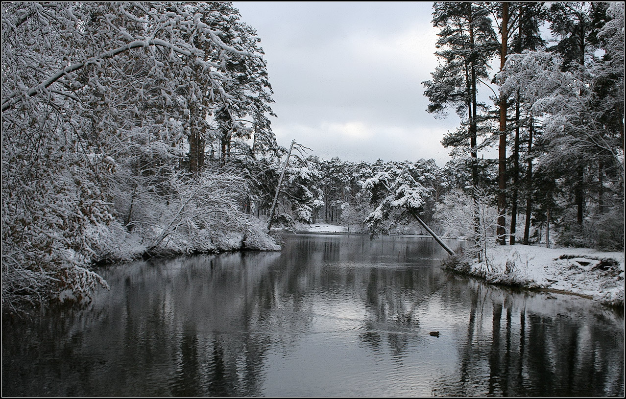 photo "pre-winter" tags: landscape, nature, 