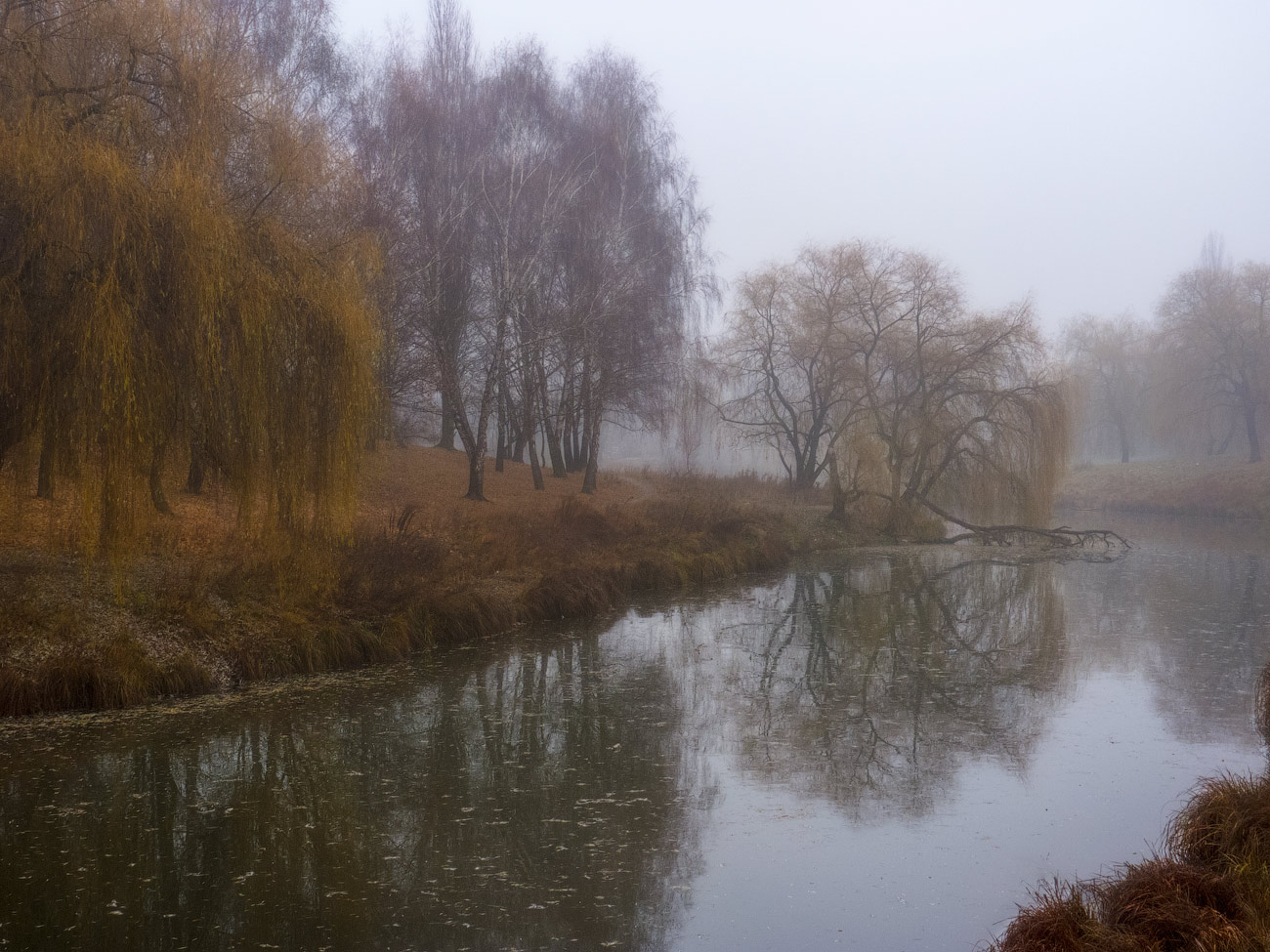 photo "***" tags: landscape, autumn, morning, park, отражение