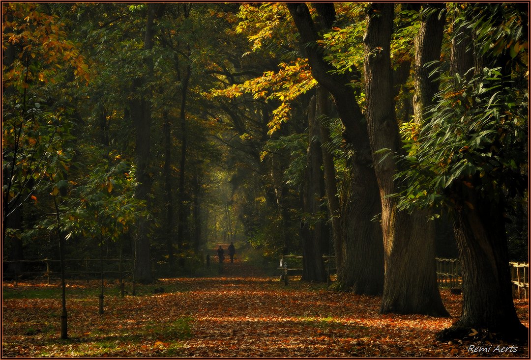 photo "***" tags: landscape, nature, street, autumn, sunset