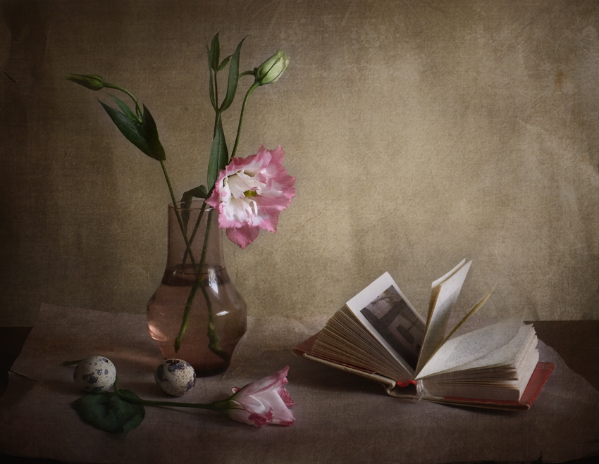 фото "Этюд с розовым цветком" метки: натюрморт, 