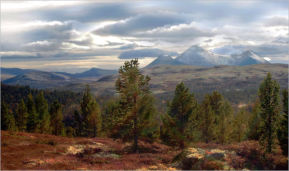 photo "Autumn in the mountain" tags: landscape, autumn, forest, mountains