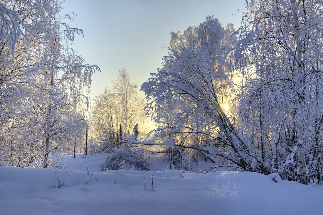 photo "***" tags: nature, snow, winter, солнечный день