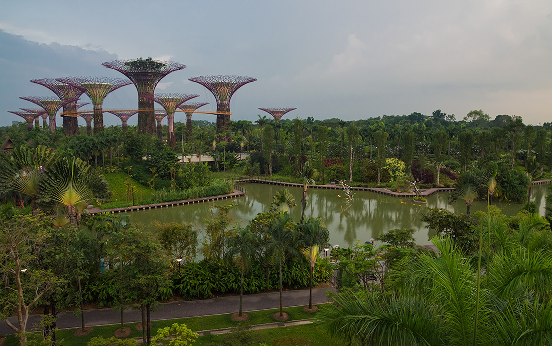 photo "Gardens by the Bay" tags: travel, landscape, nature, evening, garden, lake, palms, reflection, sunset, trees