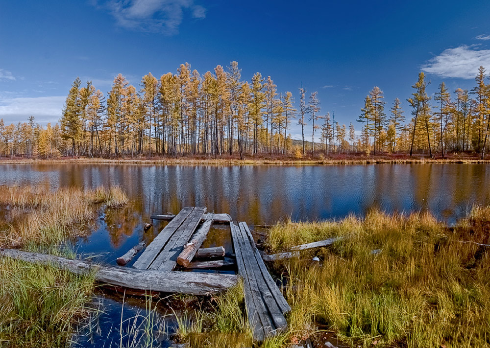 photo "***" tags: , autumn, forest, lake, water