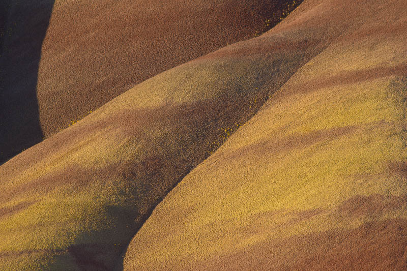 photo "Breasts of sand" tags: landscape, abstract, Painted Hills, desert, dune