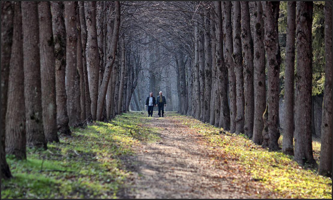 фото "Твикс" метки: пейзаж, жанр, 