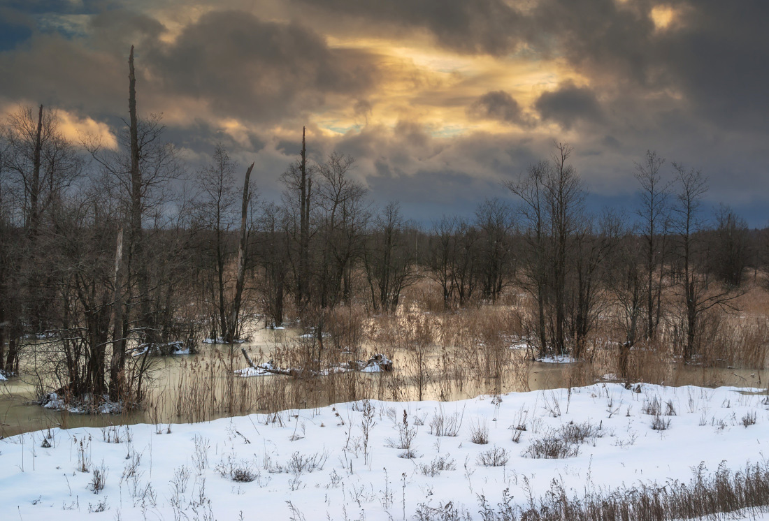 photo "***" tags: landscape, forest, snow, winter, деревья, лед, тучи