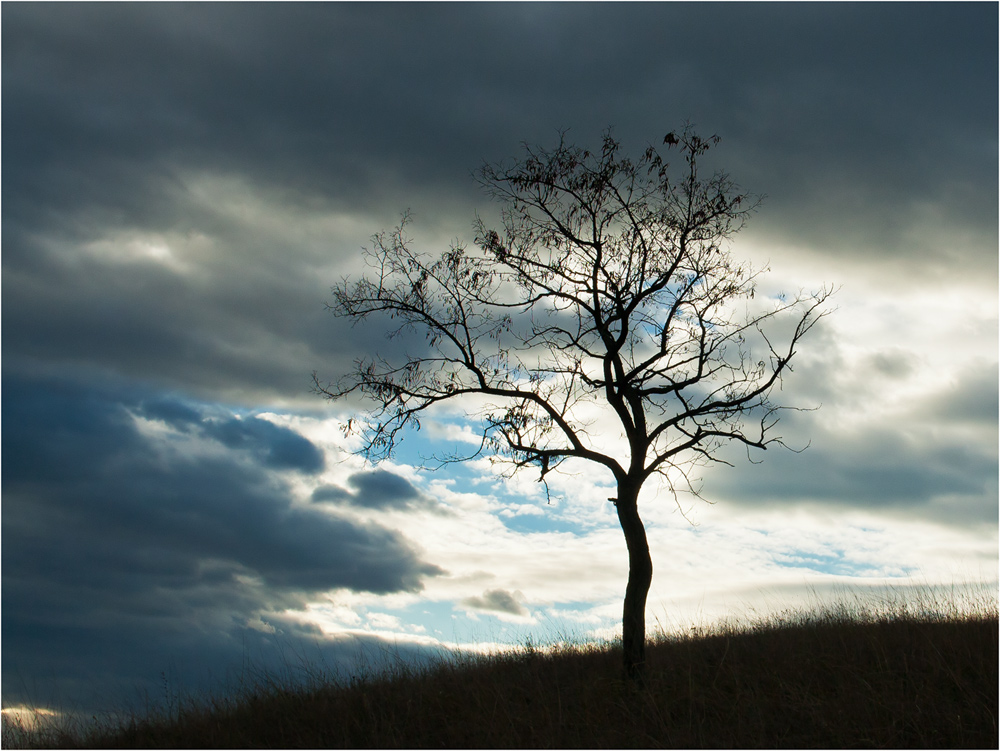 photo "***" tags: landscape, field